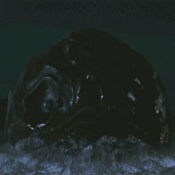 モスラ（幼虫）