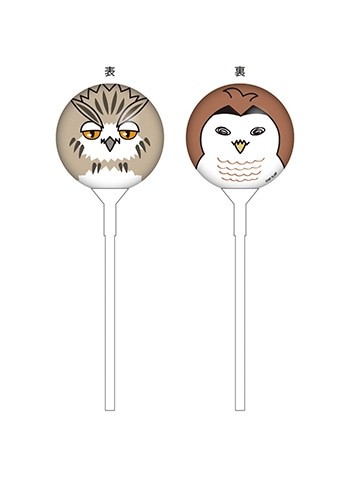 （ボクトフクロウ・アカアシフクロウ）