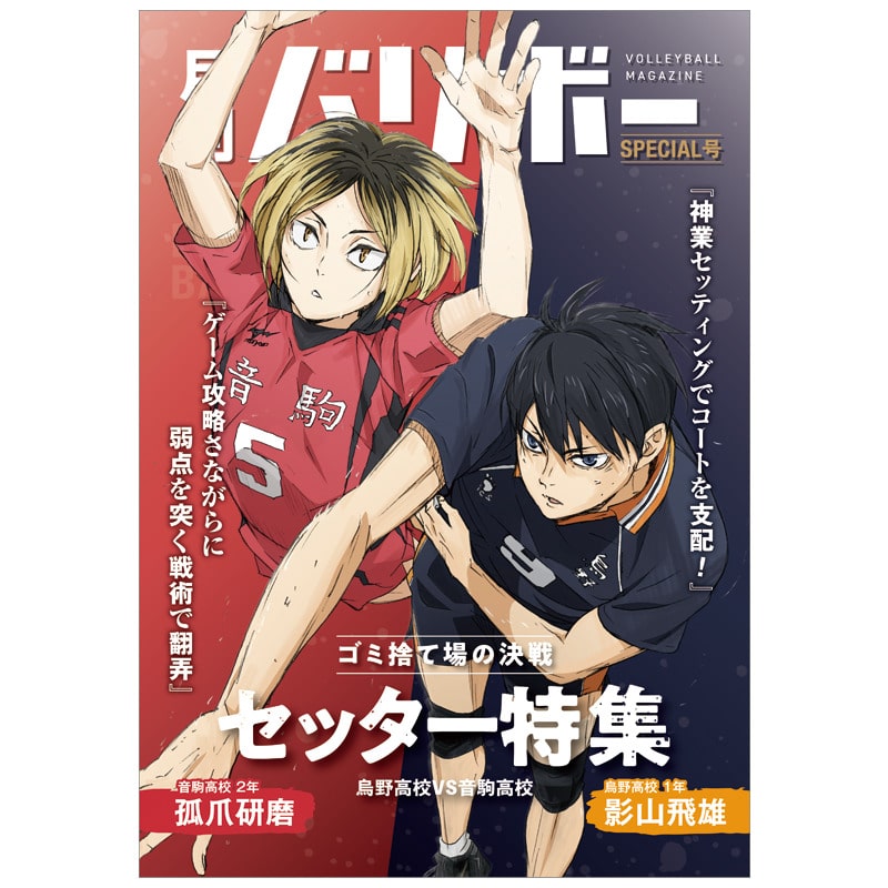 影山飛雄・孤爪研磨