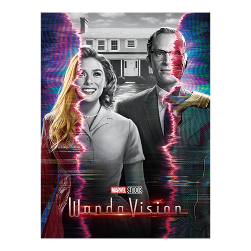 ワンダヴィジョン　パンフレット