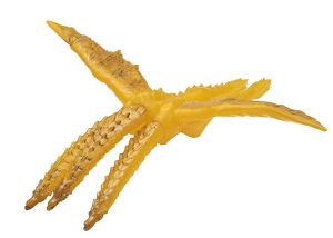 ムービーモンスターシリーズ  ギドラ