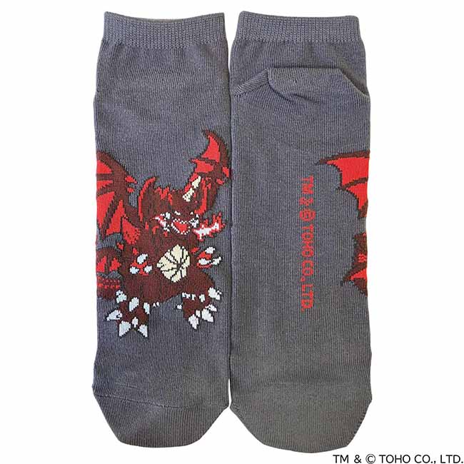 デストロイアソックス