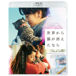 世界から猫が消えたなら　Blu-ray 通常版