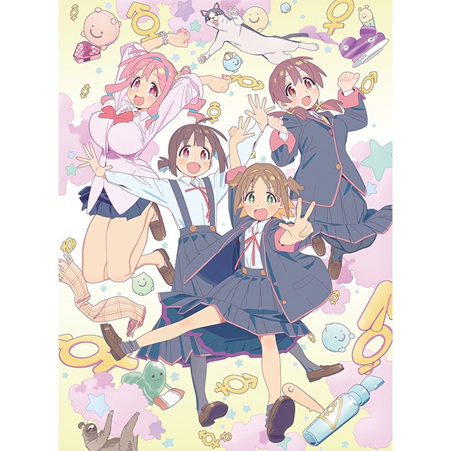 「お兄ちゃんはおしまい！」Blu-ray BOX 下巻