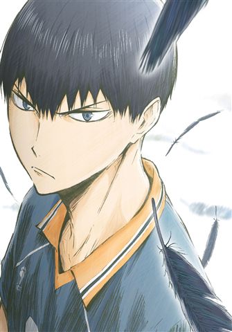 ハイキュー!! 烏野高校 VS 白鳥沢学園高校 Vol.5 DVD 初回限定版