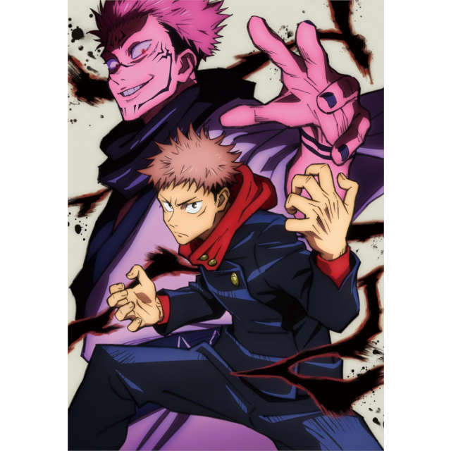 呪術廻戦 Vol.1 初回生産限定版 DVD