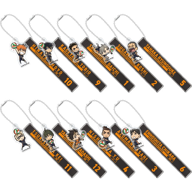 ハイキュー!! トレーディングルームキーホルダー 烏野高校【全10種】 ランダム3個セット