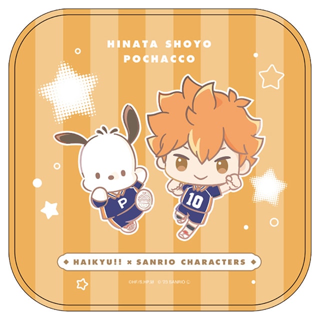 ハイキュー!!×サンリオキャラクターズ ミニタオル 日向翔陽／ポチャッコ