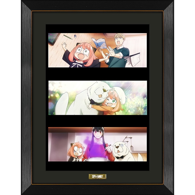 SPY×FAMILY A3キャラファイングラフ Season2 ティザービジュアル -comicall Ver.-