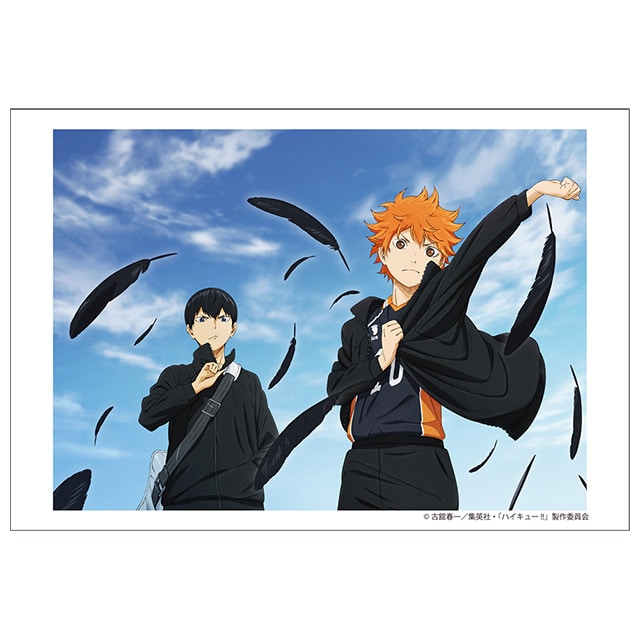 ハイキュー!! キャンバスカード 【D】