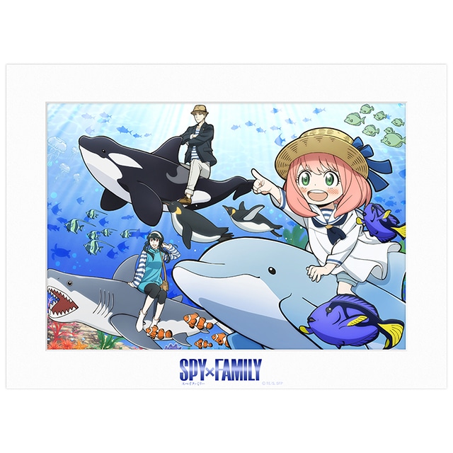SPY×FAMILY　メインビジュアルA4キャラファインマット B