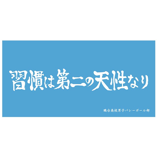 ハイキュー!! 横断幕ビッグタオル 鴎台高校