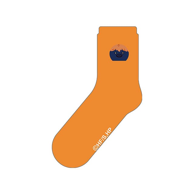 ハイキュー!! 刺繍ソックス ヒナガラス