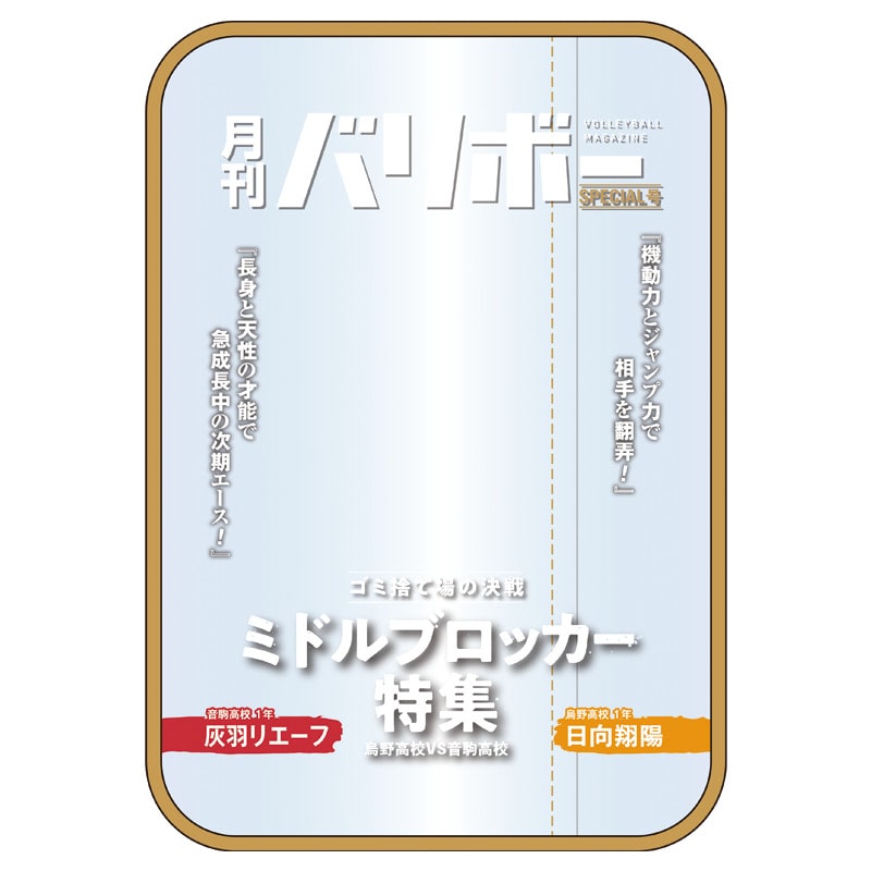 ハイキュー!! ポーチ 月刊バリボー第2弾（日向翔陽・灰羽リエーフ）