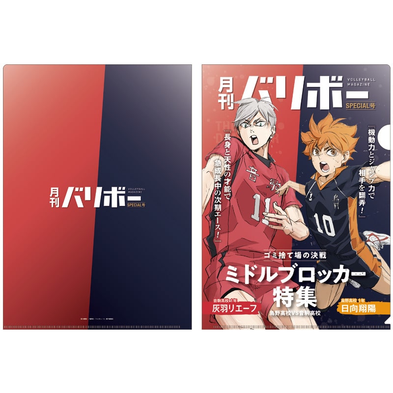 ハイキュー!! A4クリアファイル 月刊バリボー第2弾（日向翔陽・灰羽リエーフ）