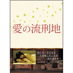 愛の流刑地（2枚組） 〈DVD〉