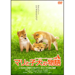 マリと子犬の物語　スタンダード・エディション 〈DVD〉