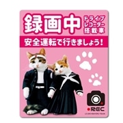 なめ猫 ドライブレコーダー ステッカー ピンク 録画中 なめんなよ