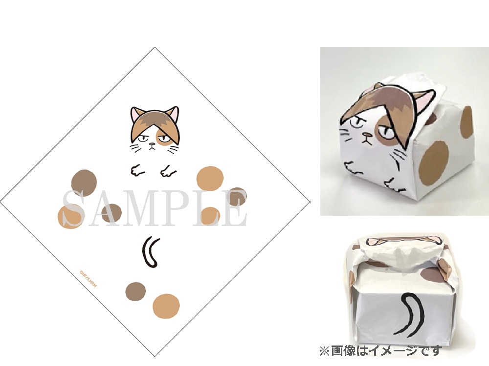 まめぐい研磨ネコ