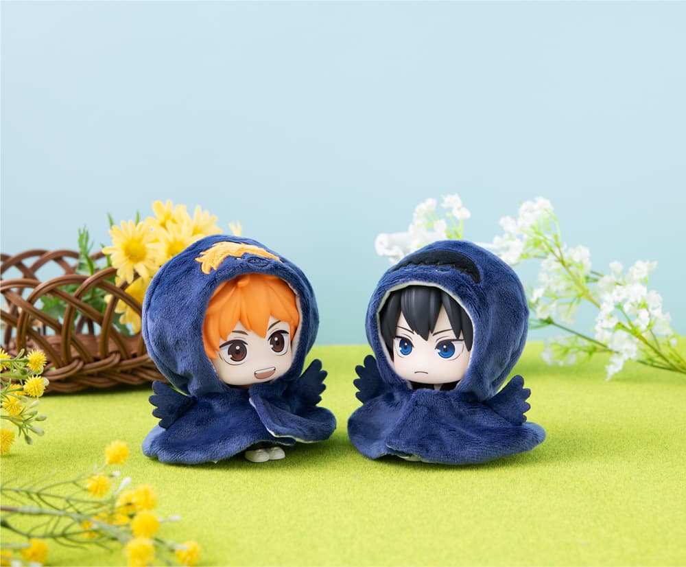 るかっぷポンチョヒナガラス